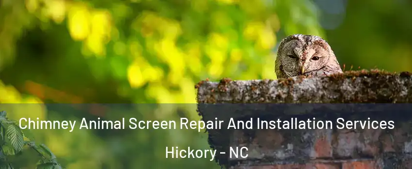  Chimney Animal Screen Repair And Installation Services Hickory - NC