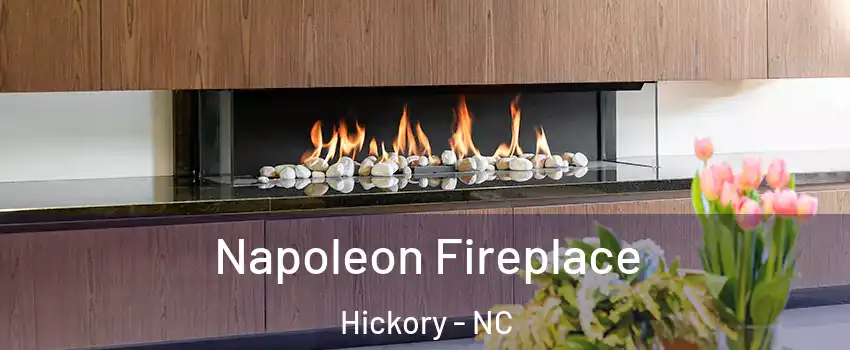  Napoleon Fireplace Hickory - NC